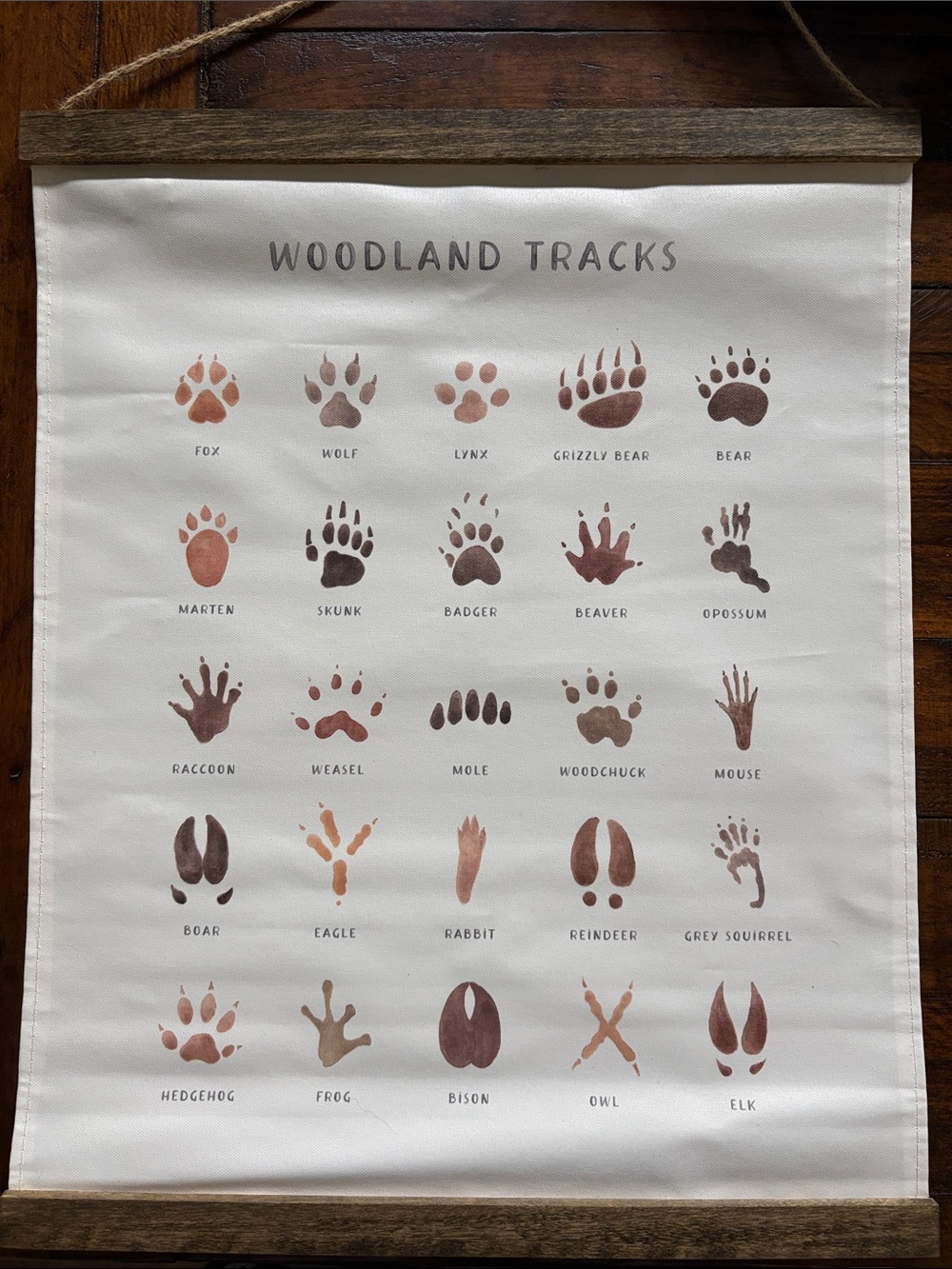 Woodland tracks